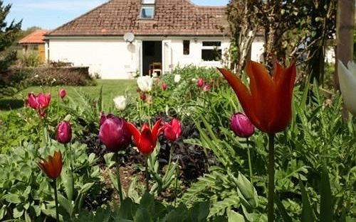 Woodgate Farm Bed & Breakfast Tenterden Exterior photo