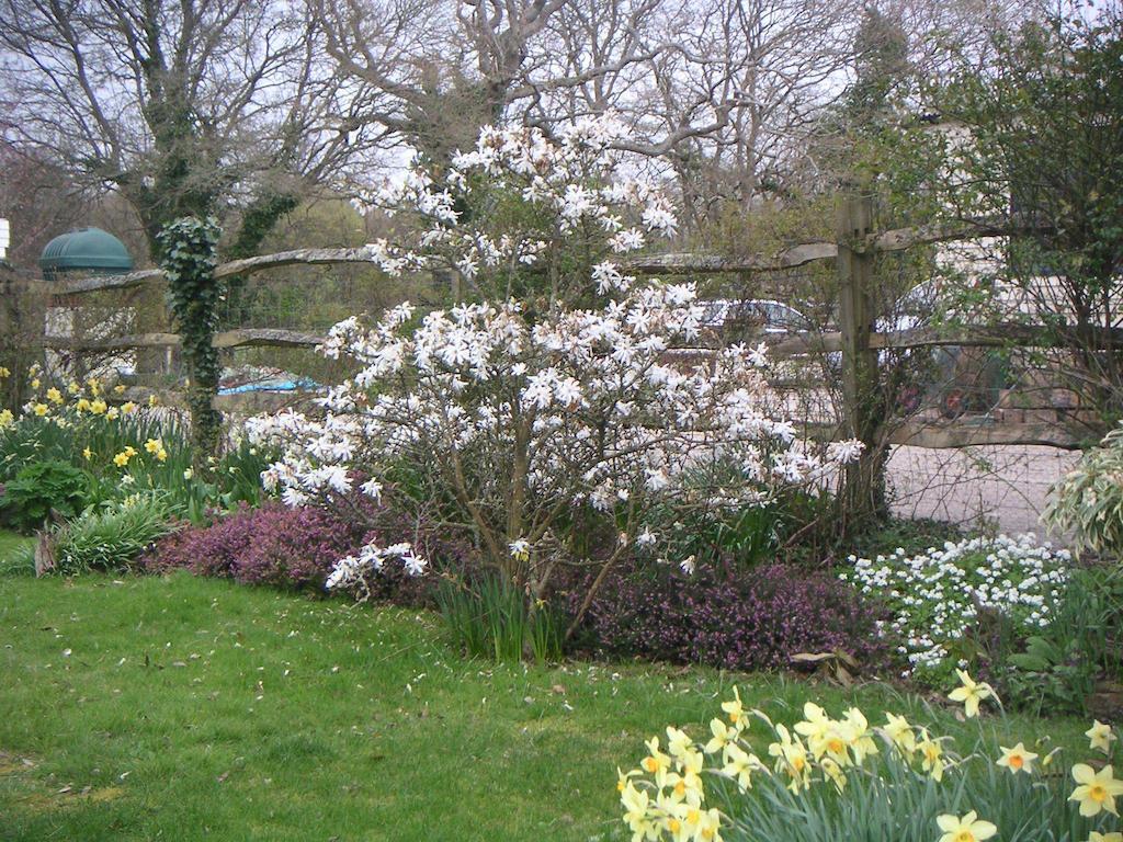 Woodgate Farm Bed & Breakfast Tenterden Exterior photo