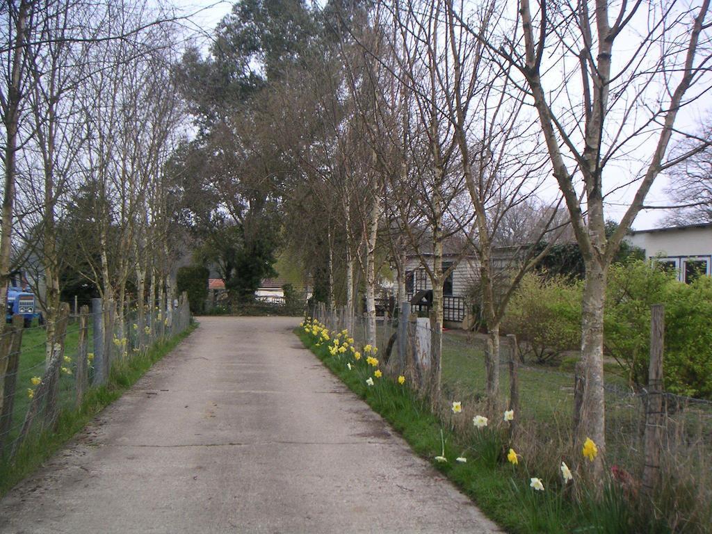 Woodgate Farm Bed & Breakfast Tenterden Exterior photo